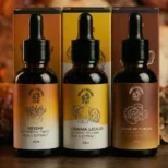 protocol tincturi medicinale set 3 extracte coama leului reishi coada de curcan