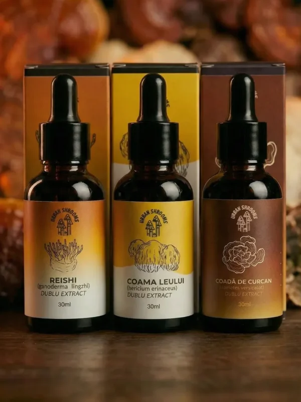 protocol tincturi medicinale set 3 extracte coama leului reishi coada de curcan