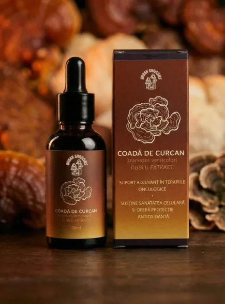 TINCTURA COADA DE CURCAN tinctură coada de curcan trametes versicolor extract dublu 50ml