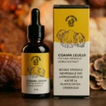 tinctura medicinala coama leului urbanshrooms