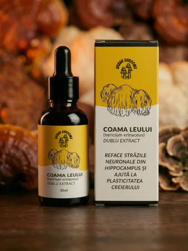 tinctura medicinala coama leului urbanshrooms